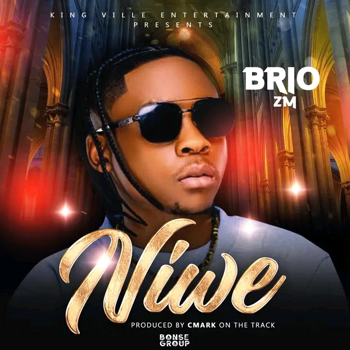 Brio Zm - Niwe